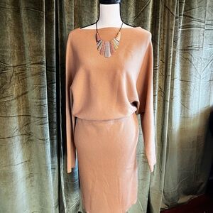 Colletta Off the Shoulder Sweater dress
Sold Out Banana Republic
$140 retail